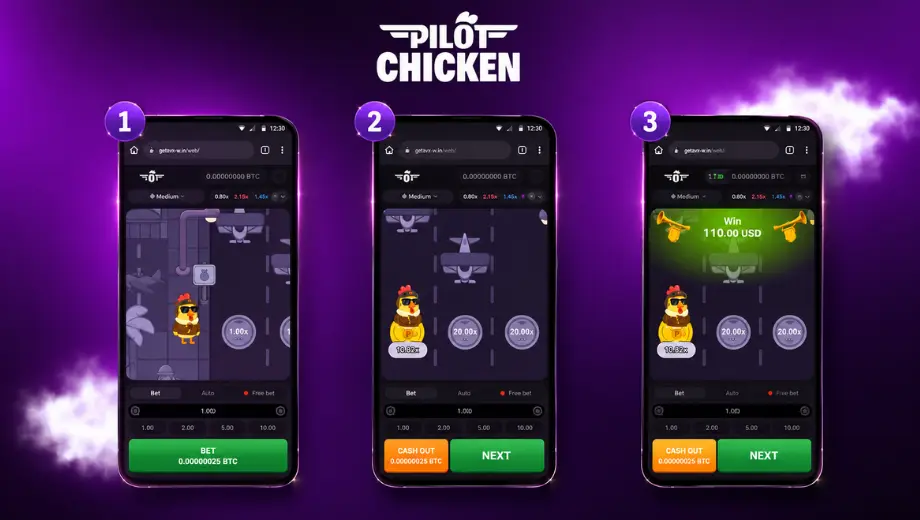 Pilot Chicken Screenshot 3