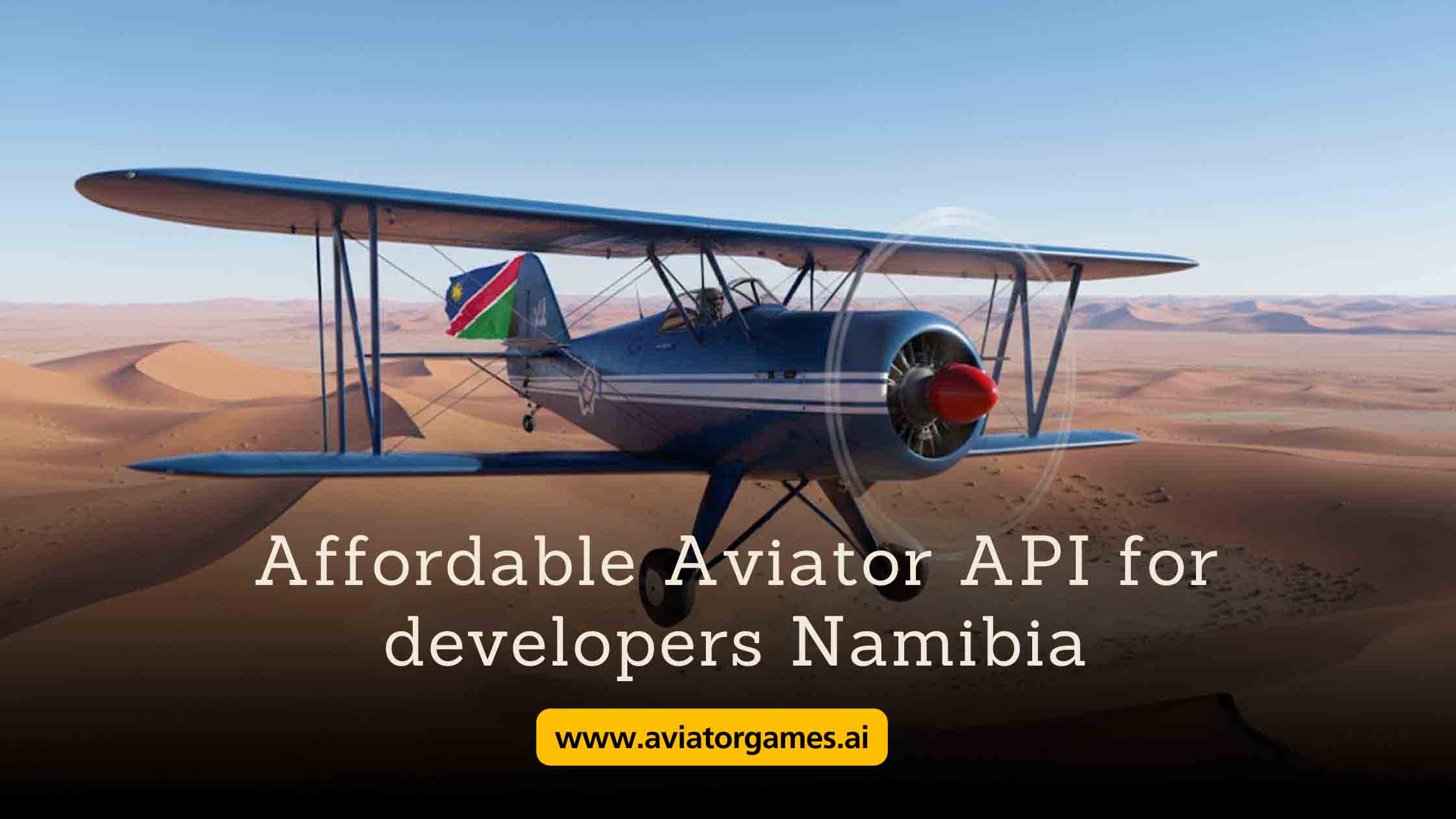 Affordable Aviator API for Developers Namibia